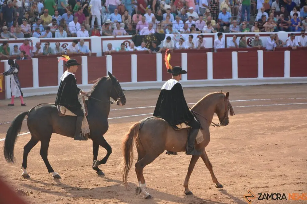 toros  y piraguas _109