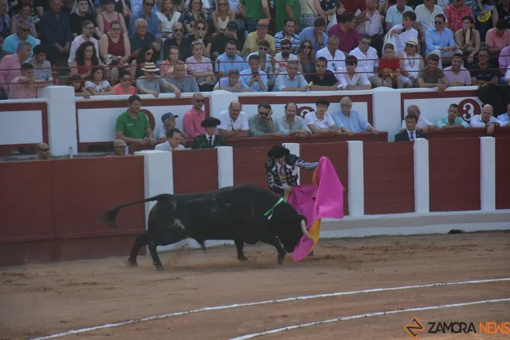 toros  y piraguas _121