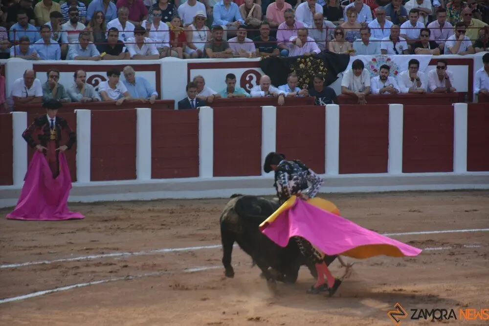 toros  y piraguas _123