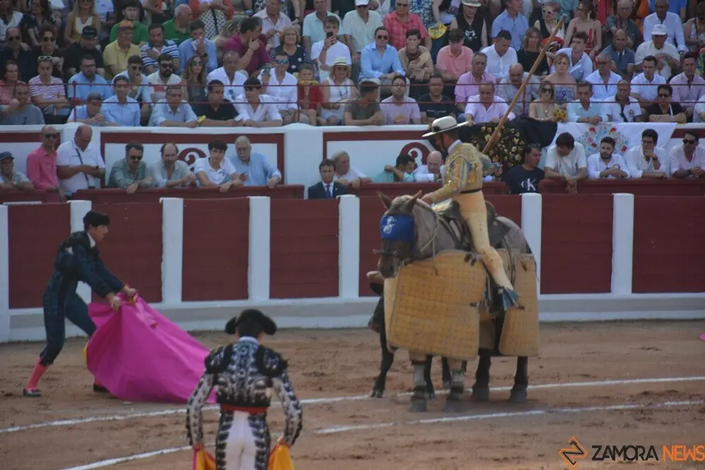 toros  y piraguas _125