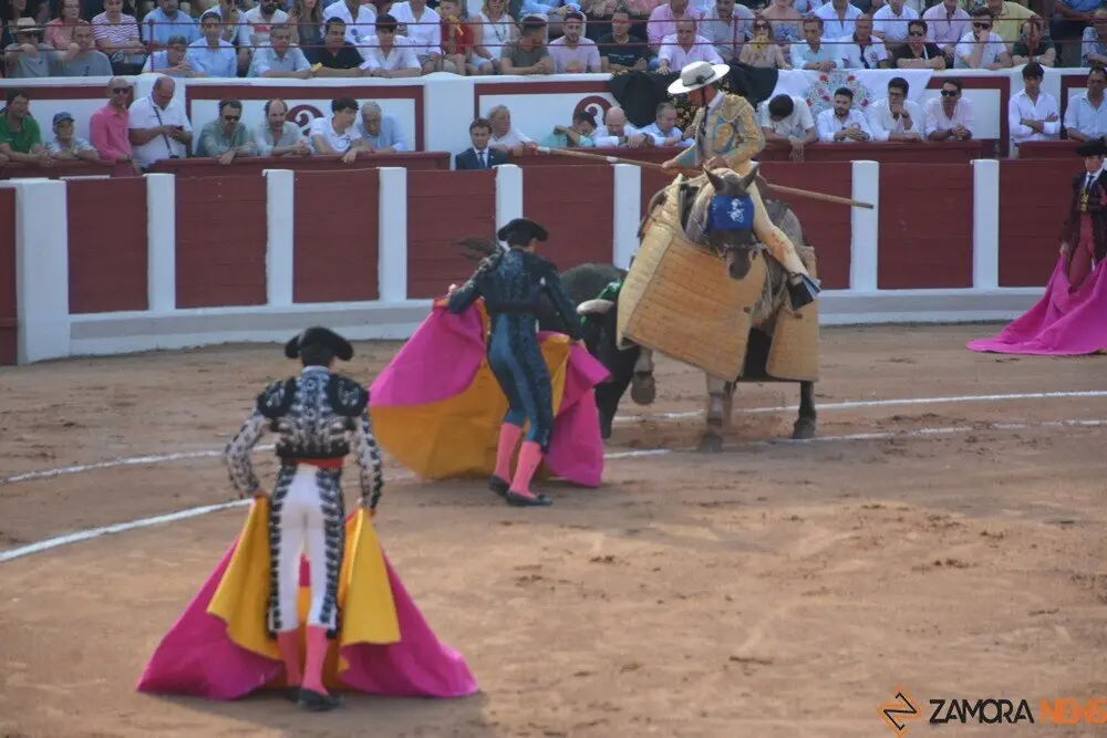 toros  y piraguas _126