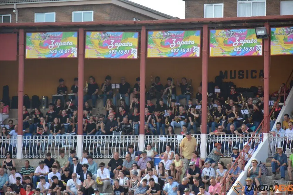 toros  y piraguas _127