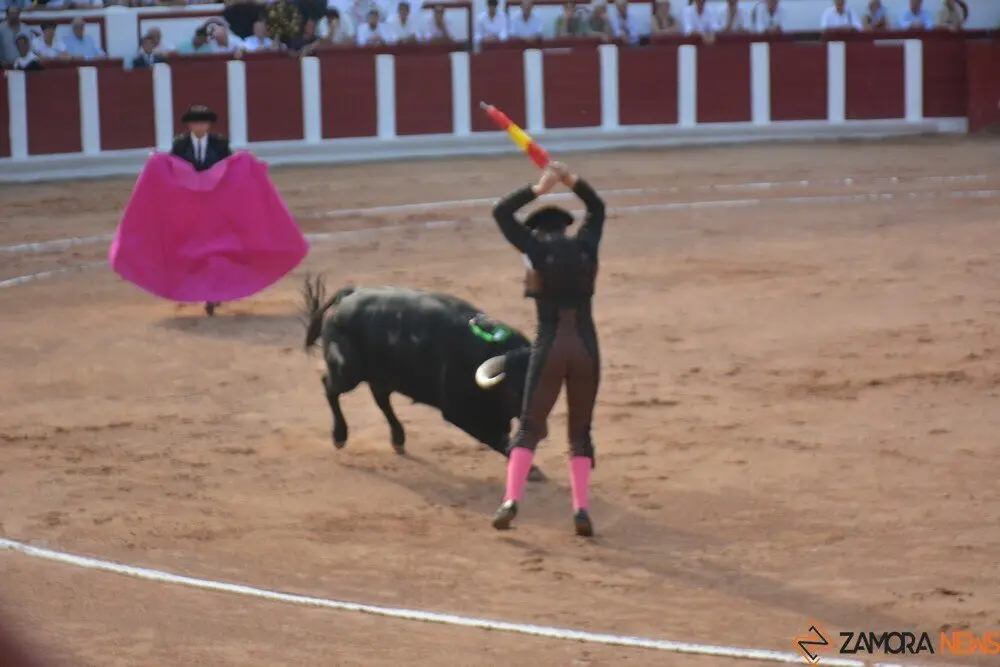 toros  y piraguas _129