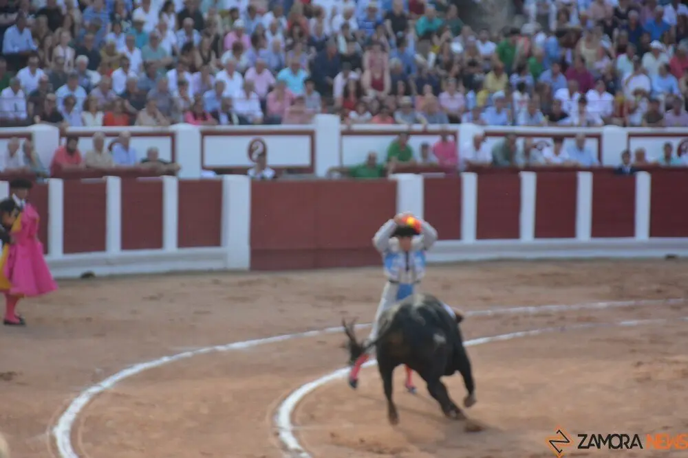 toros  y piraguas _130