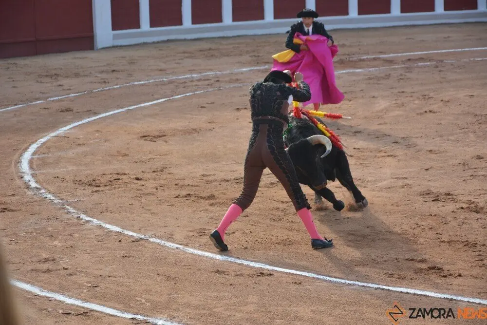 toros  y piraguas _131