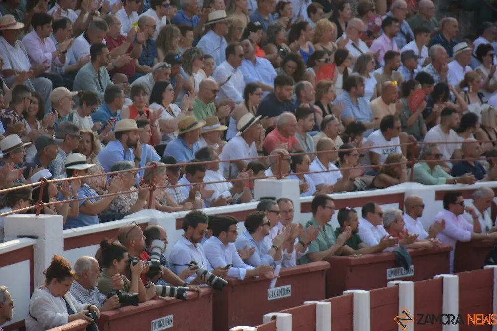 toros  y piraguas _136