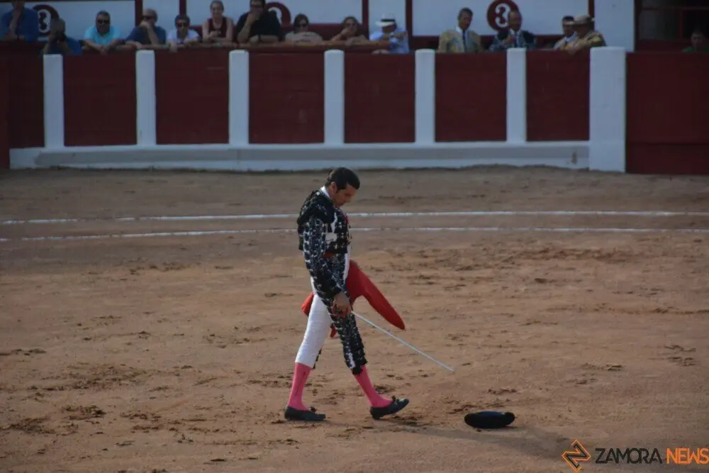 toros  y piraguas _134