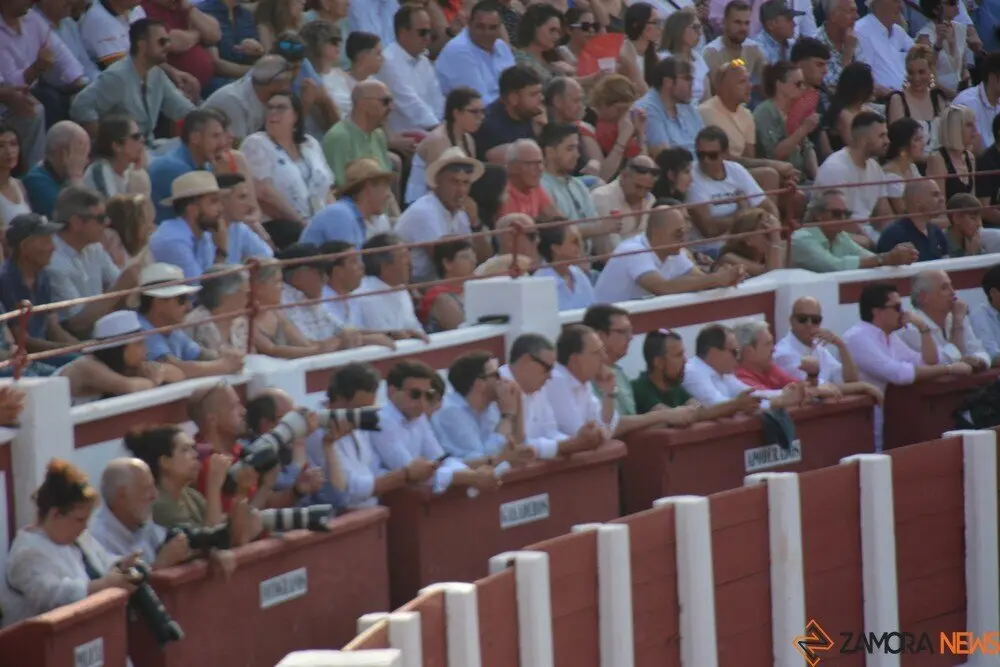 toros  y piraguas _137