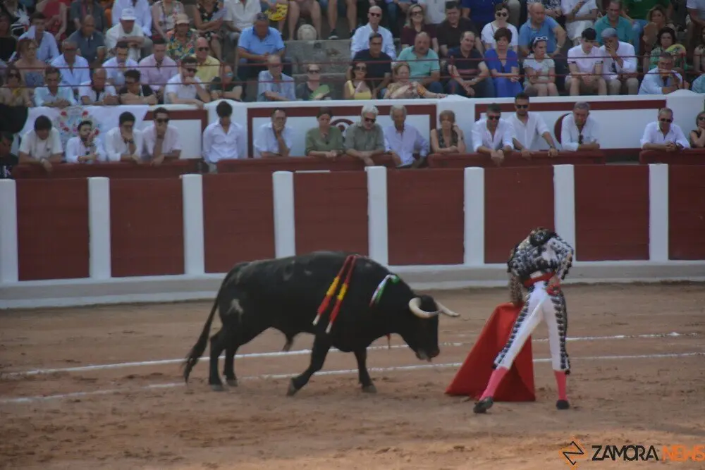 toros  y piraguas _138