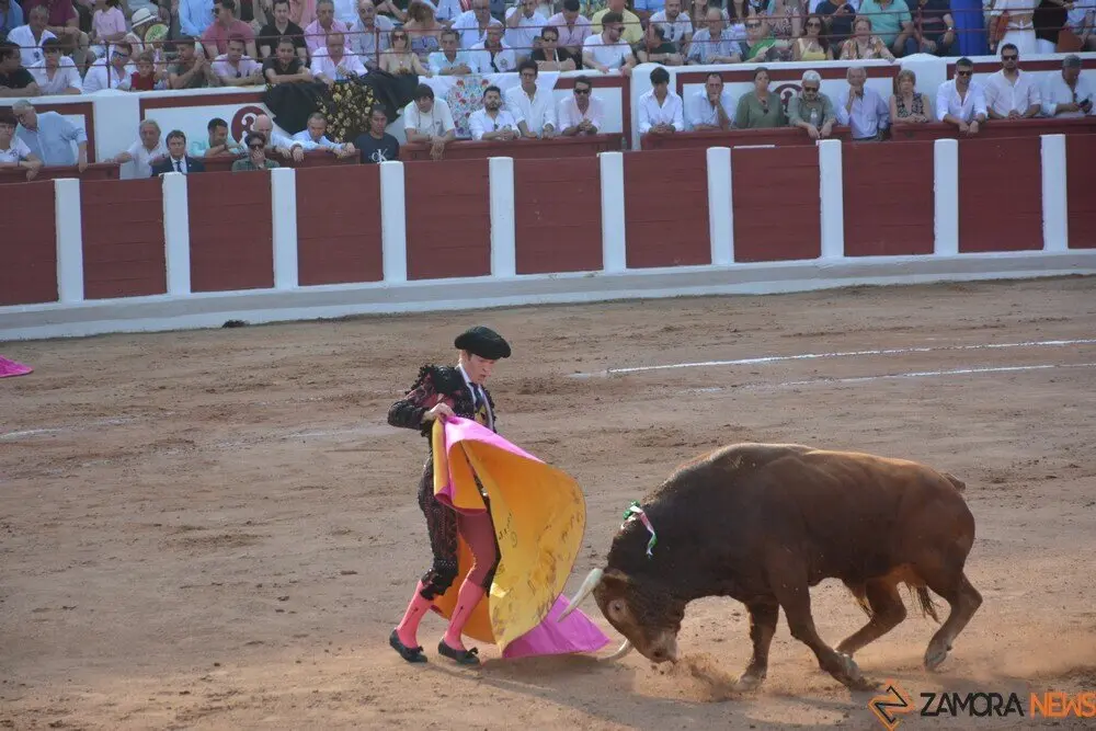 toros  y piraguas _139