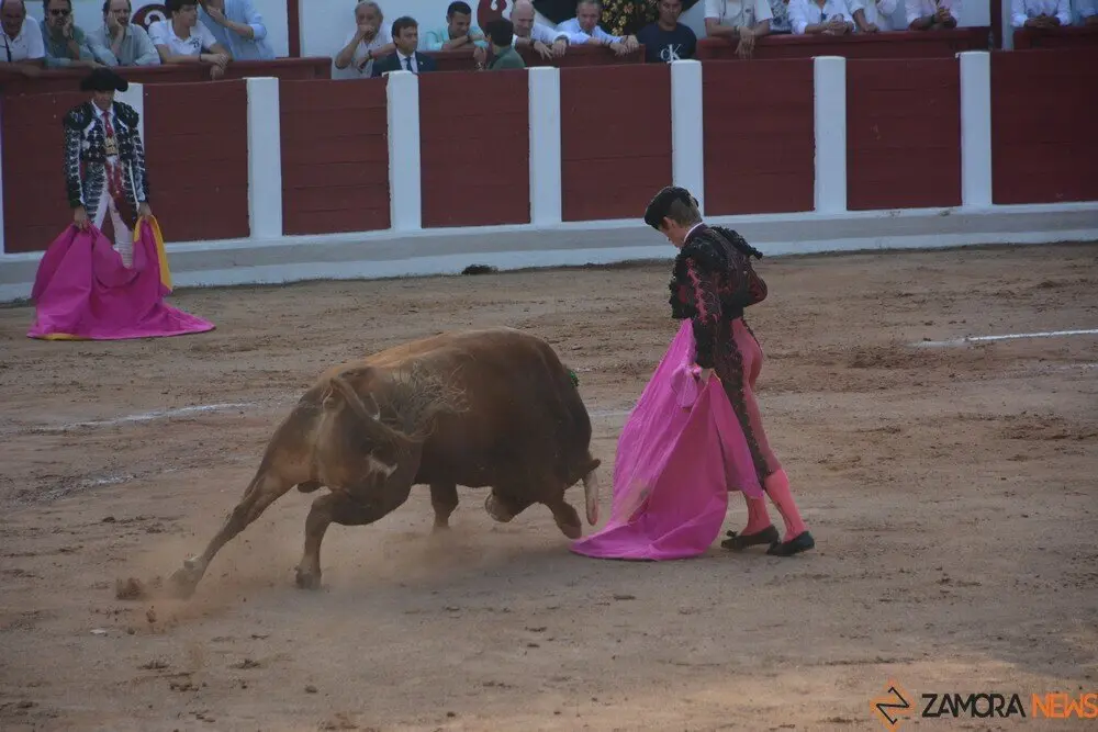toros  y piraguas _140