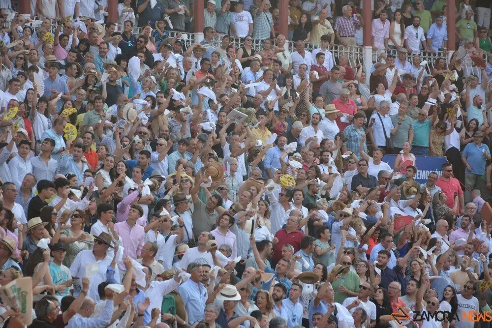 toros  y piraguas _147