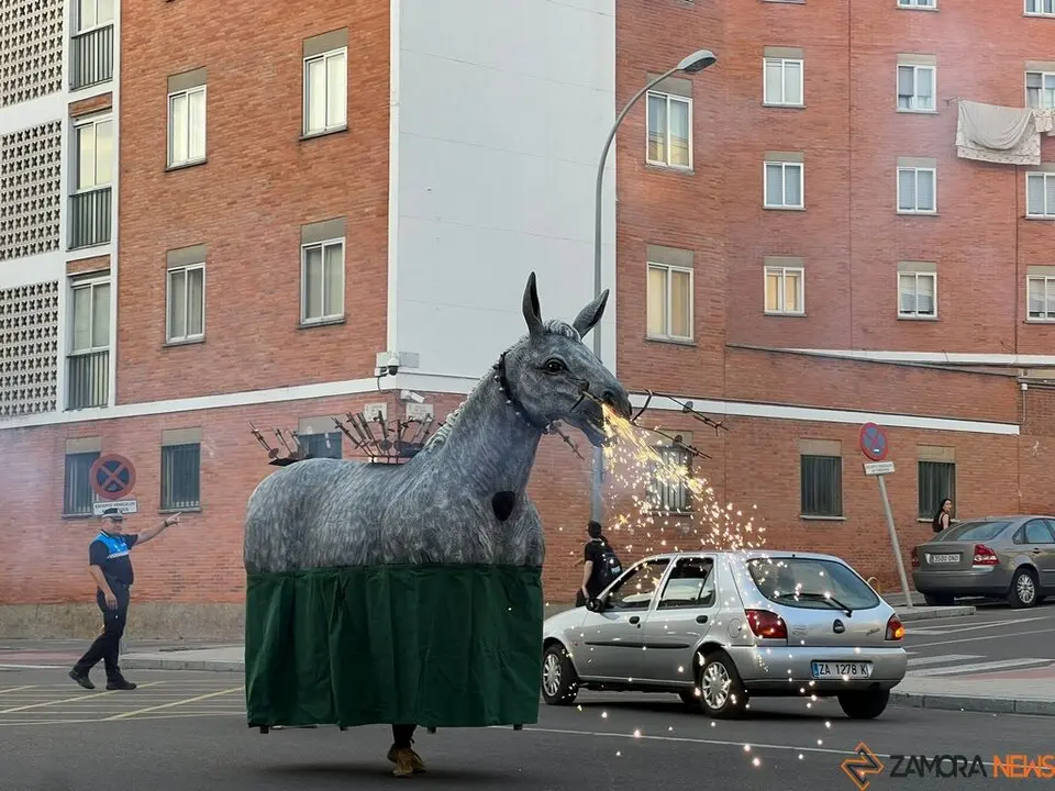 Pasacalles Gigantes y Cabezudos Capitonis Durii_8