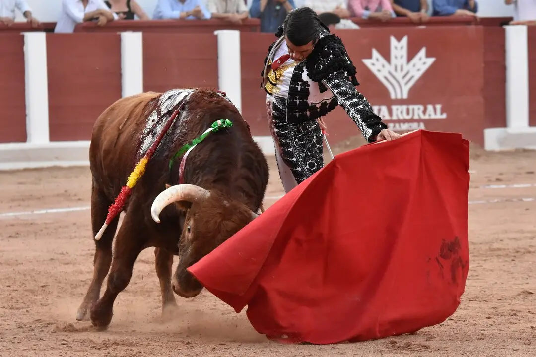 4e805b04-b3c8-41f0-833d-56dea65c2a7c