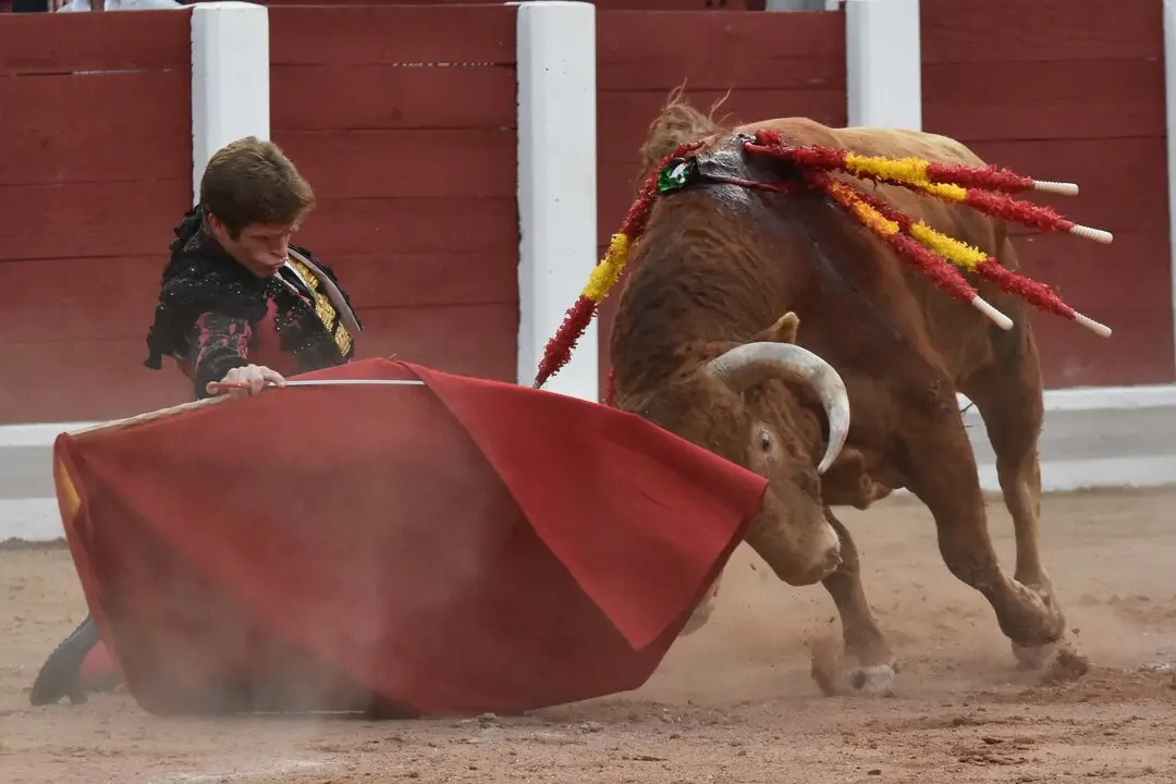 6dfd57c8-7cbc-46a5-8ddb-ac3864ecf2f4