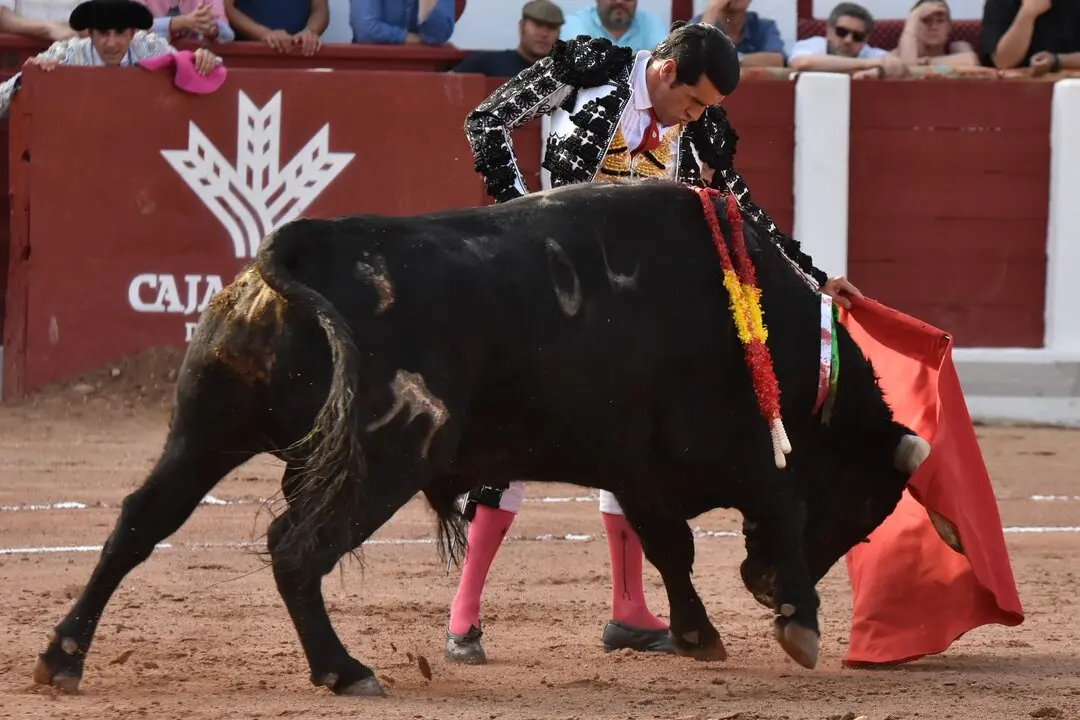 168b1ad1-7882-4e99-a914-c73ac068d03c