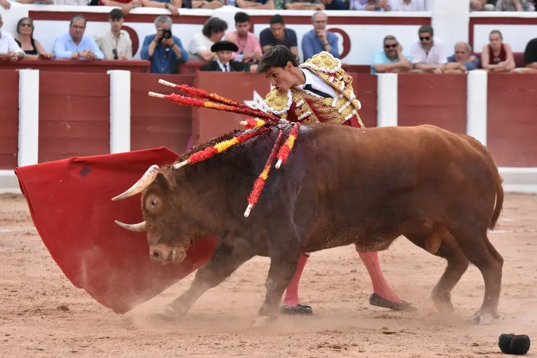 bd241e17-de93-4da3-bc4d-5537df4bb1c4