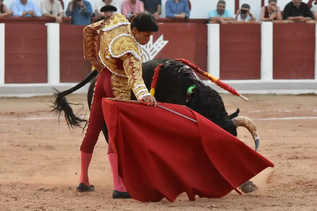 f75abe64-21d0-4639-9d38-4aefc139fd89