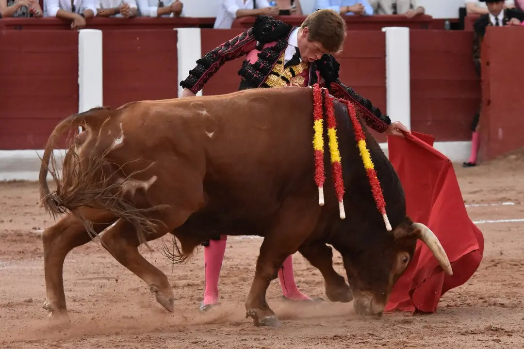 f0603247-ae22-4ded-b181-47804ea878f6