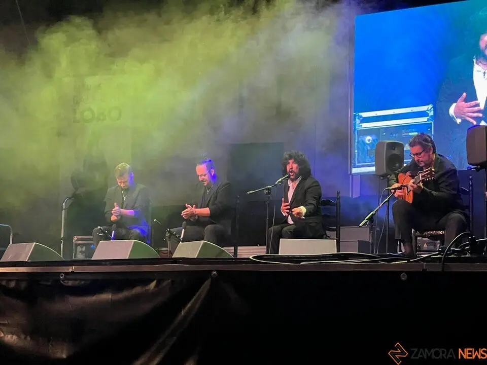 José Mercé concierto flamenco catedral_26