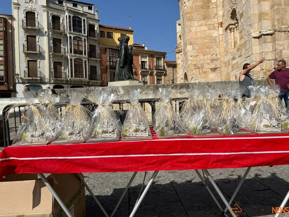 Cross del Ajo Zamora 2025_5