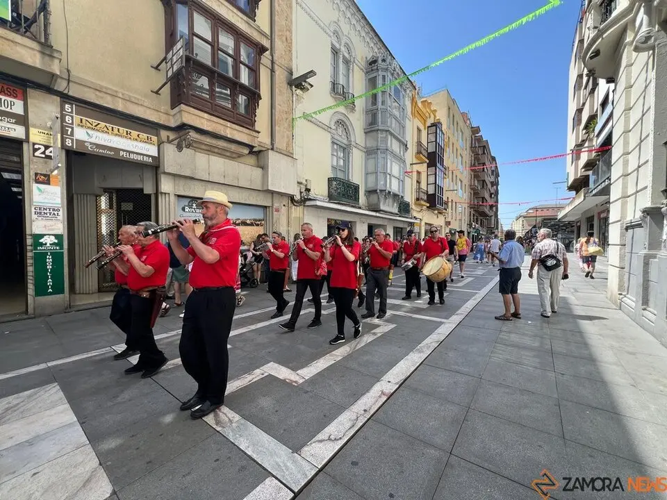 Pasacalles de gigantes y gigantillas _24