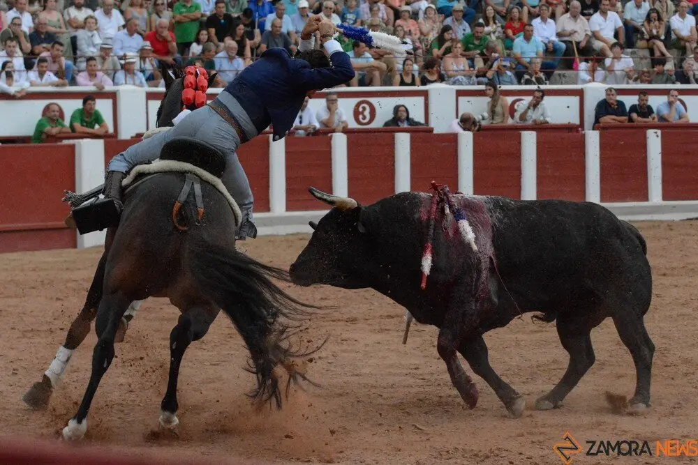 rejones zamora 2025 joaquín fernández_3
