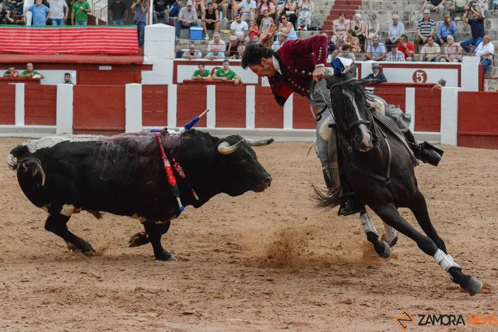 rejones zamora 2025 joaquín fernández_6