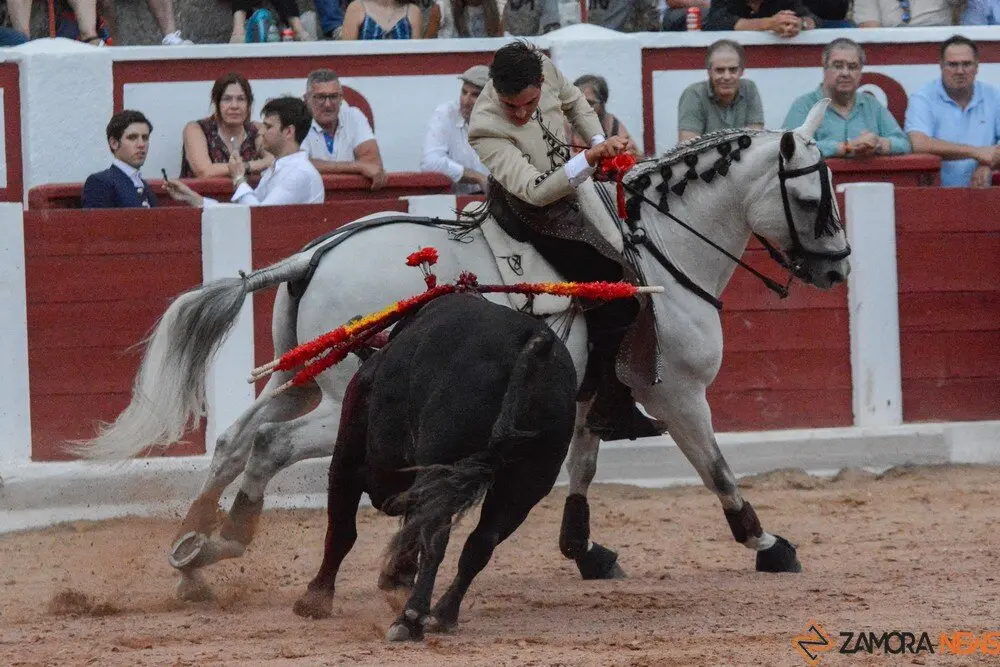 rejones zamora 2025 joaquín fernández_10