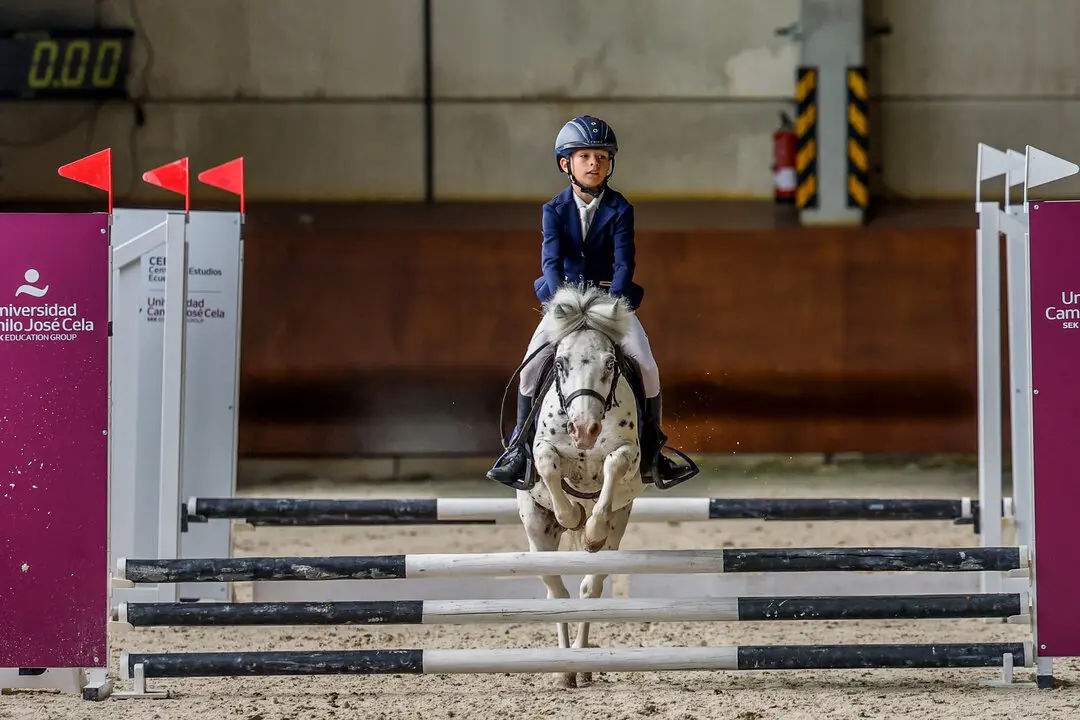 XXXVII Campeonato de España de Equitación con Ponis