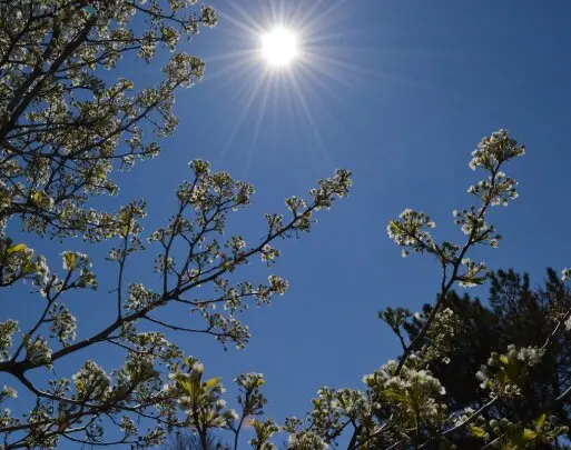 Sol, foto de archivo