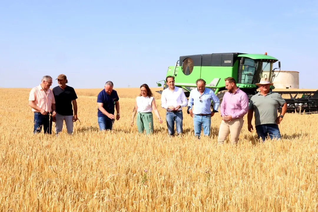 La Junta de Castilla y León ofrece los datos cosecha