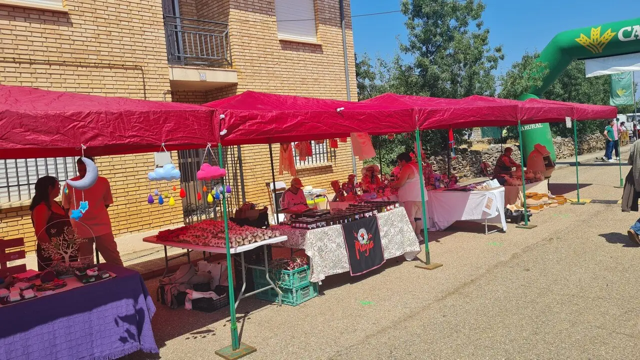 XXXIV Día de la Comarca en Ferreras de Abajo. imagen cedida (12)