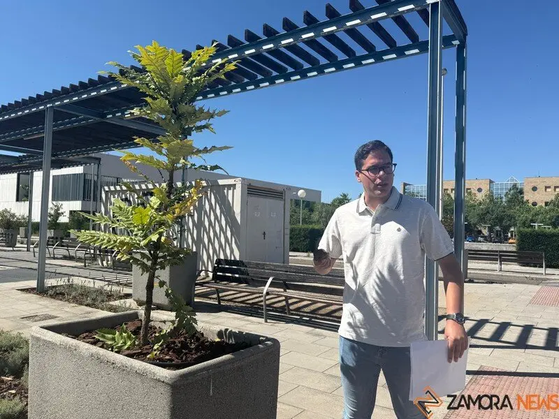 Pablo Novo en las obras de ajardinamiento realizadas en la avenida Reyes Católicos._2
