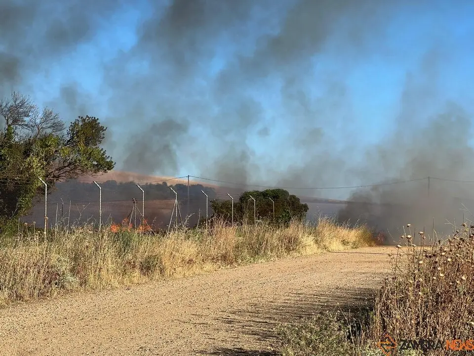 Incendio en Coreses_4