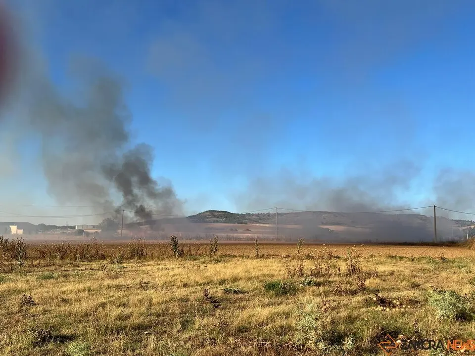 Incendio en Coreses_5