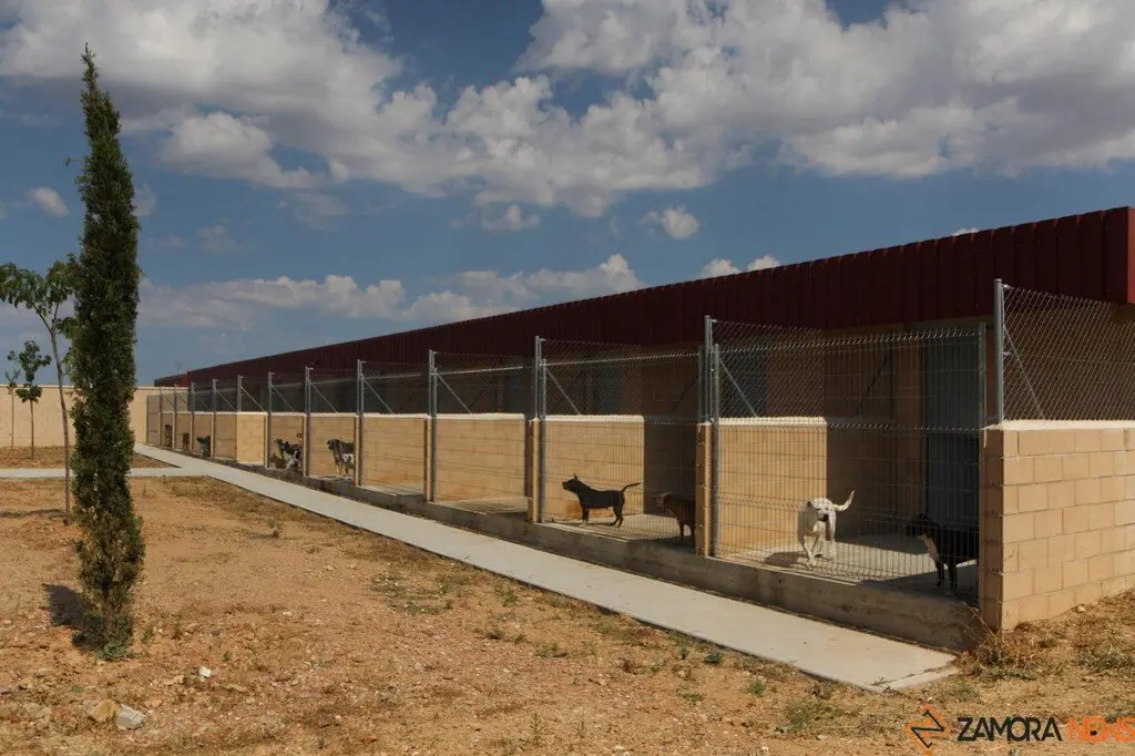 Nuevo centro de Protección Animal en Zamora