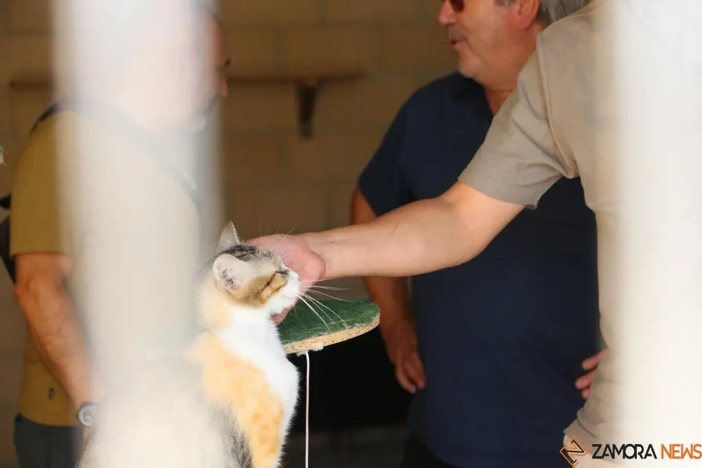 Nuevo centro de Protección Animal en Zamora_5