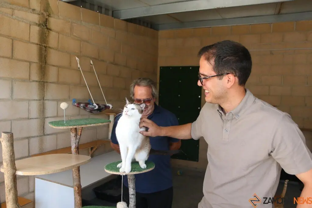 Nuevo centro de Protección Animal en Zamora_6