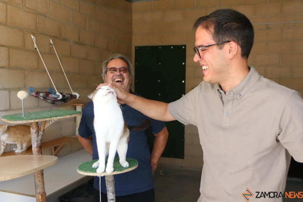 Nuevo centro de Protección Animal en Zamora_8