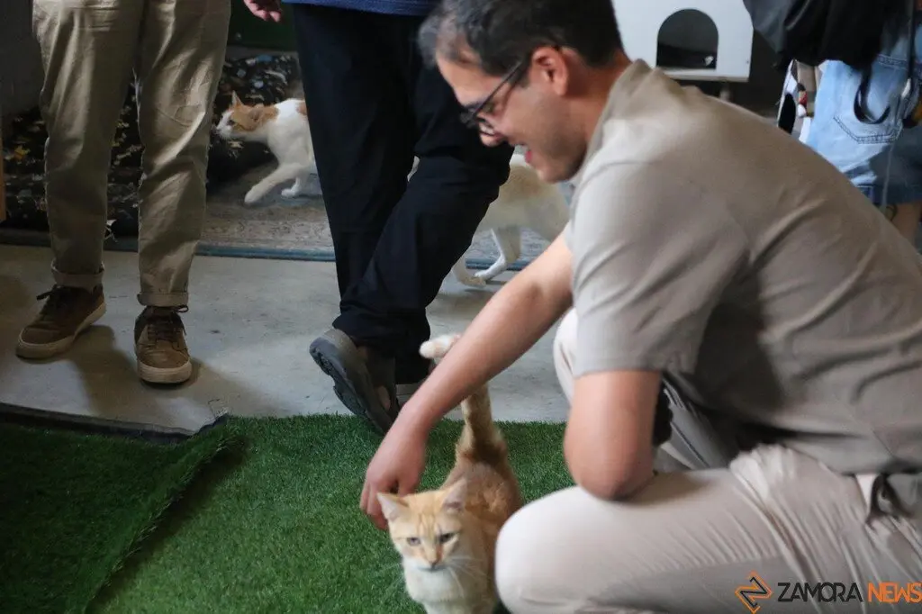 Nuevo centro de Protección Animal en Zamora_9