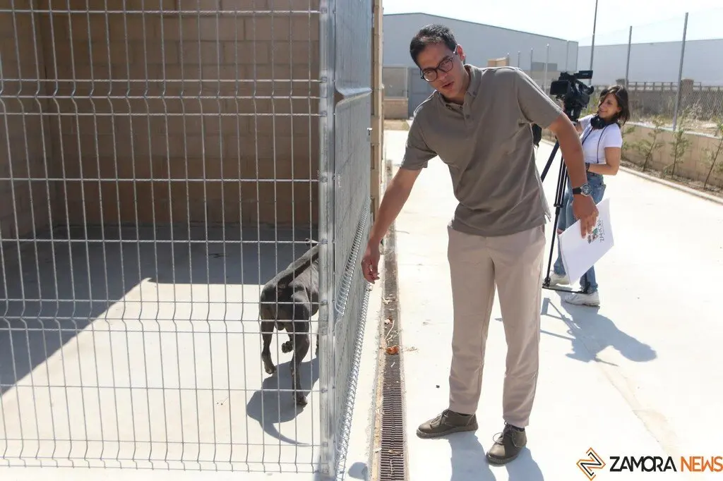 Nuevo centro de Protección Animal en Zamora_11