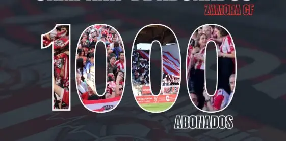 Zamora CF, abonados