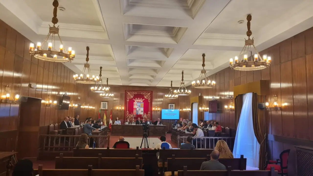 Pleno de la Diputación