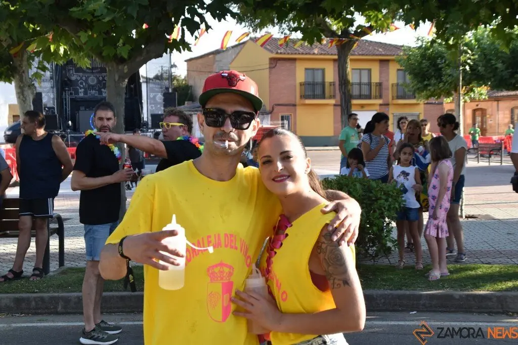 Fiestas de Moraleja del Vino desfile de pañas _7