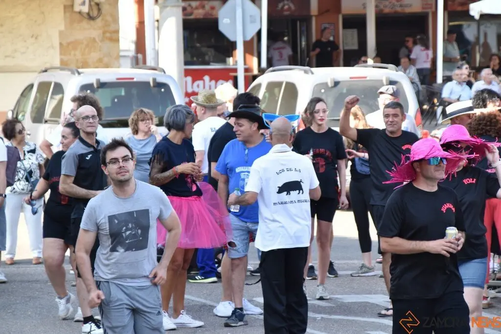 Fiestas de Moraleja del Vino desfile de pañas _31