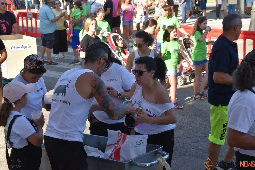 Fiestas de Moraleja del Vino desfile de pañas _34