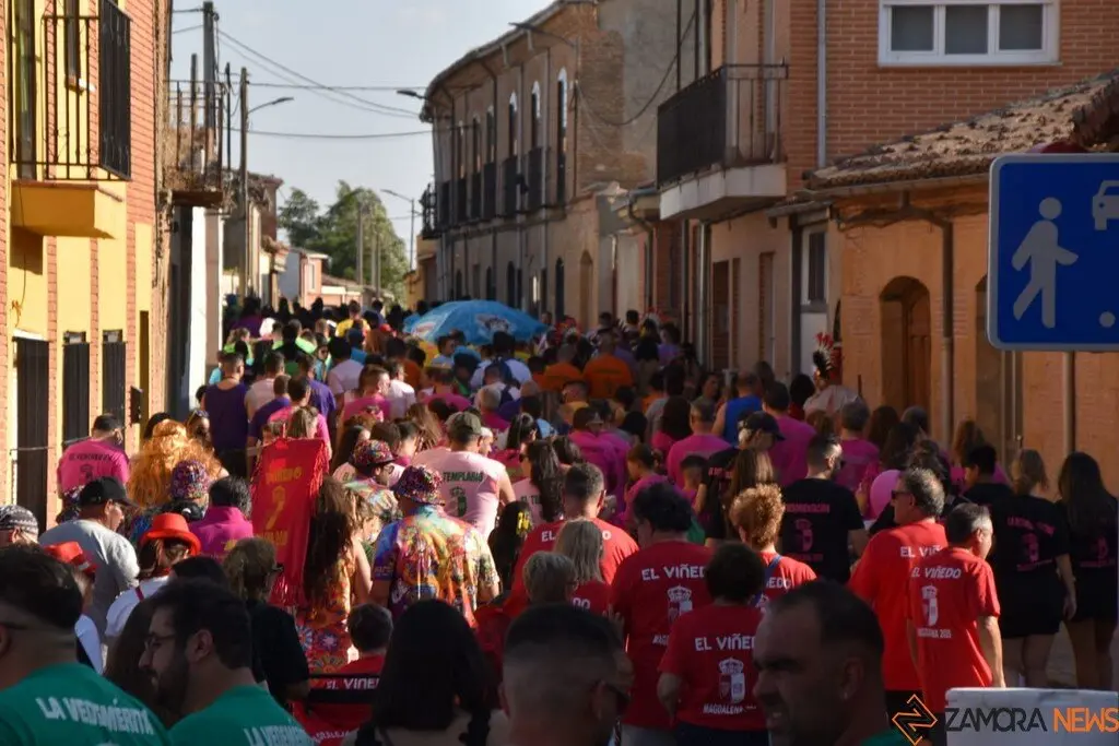 Fiestas de Moraleja del Vino desfile de pañas _40