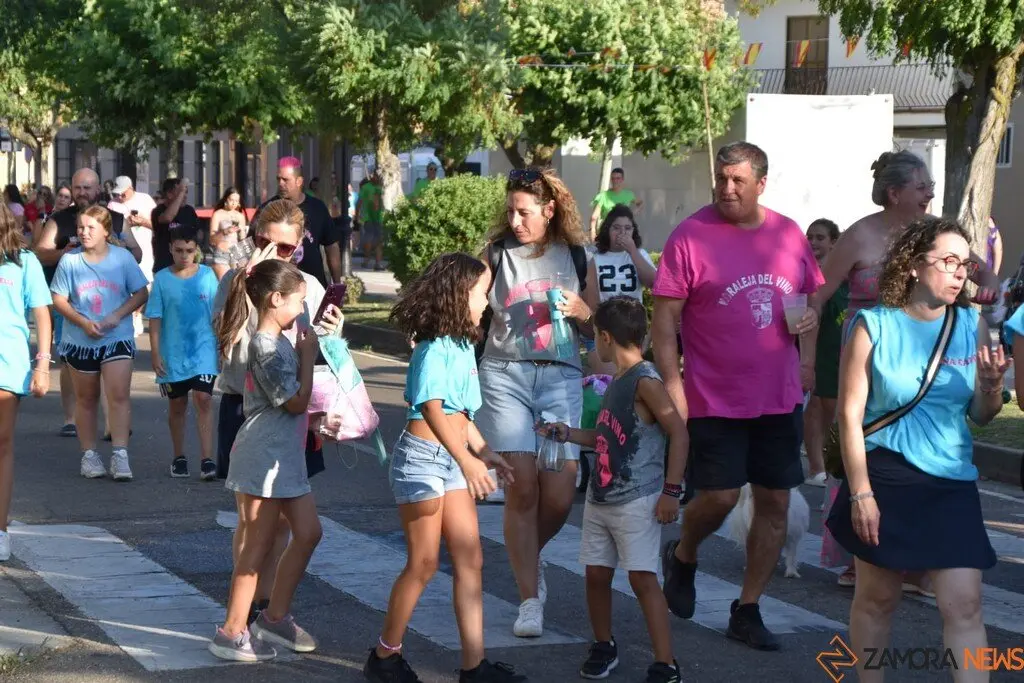 Fiestas de Moraleja del Vino desfile de pañas _43