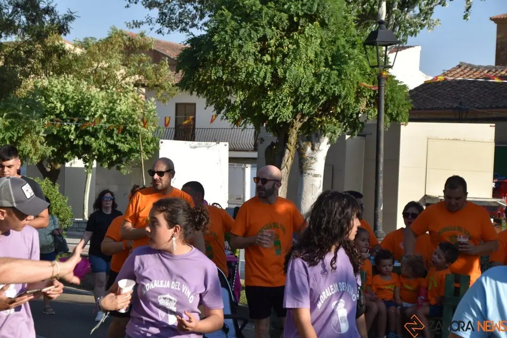 Fiestas de Moraleja del Vino desfile de pañas _50